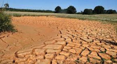 Declaratoria dello stato di emergenza per la calamità della siccità dal 1°...